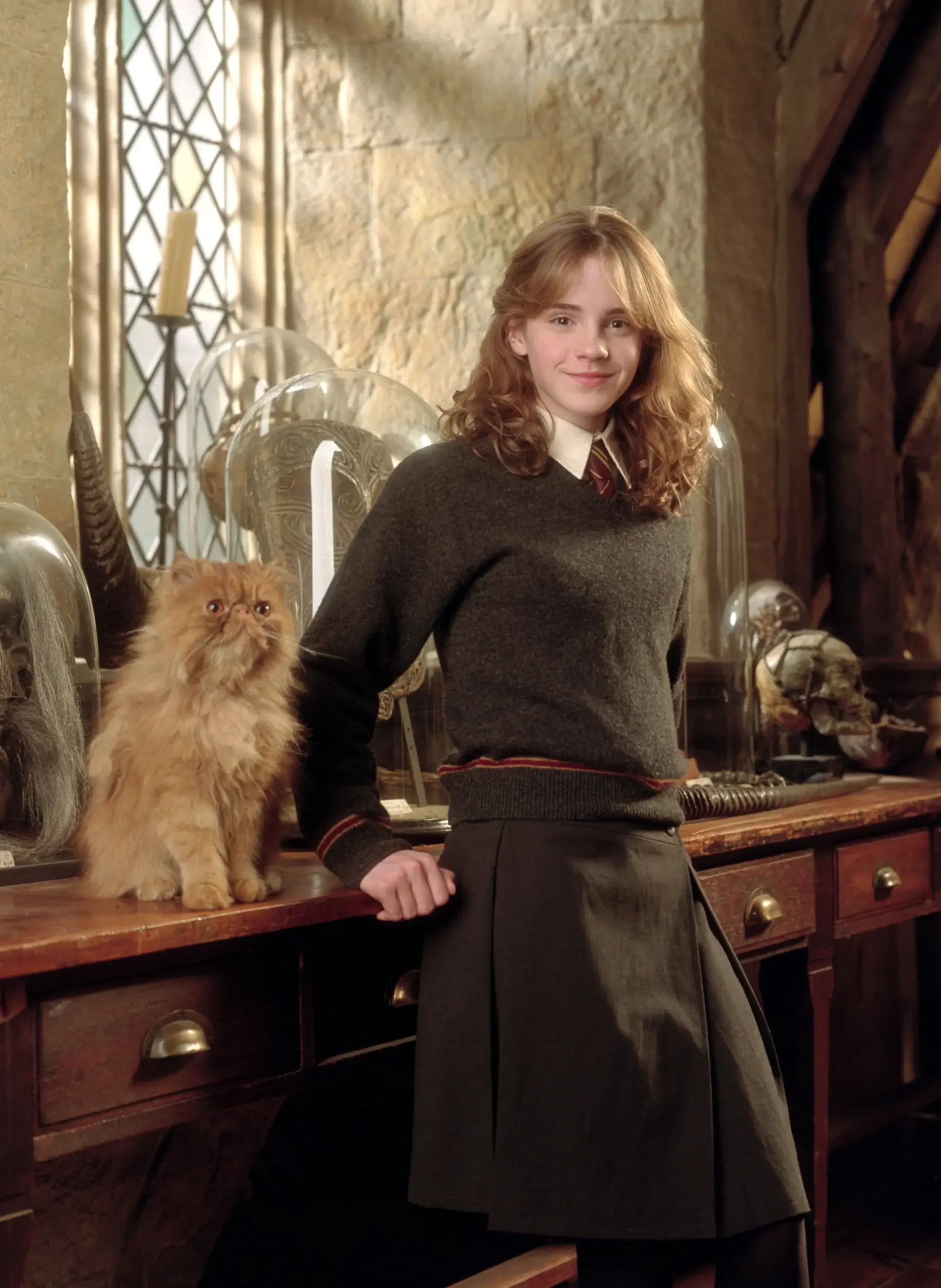 Hermione's Crookshanks cat