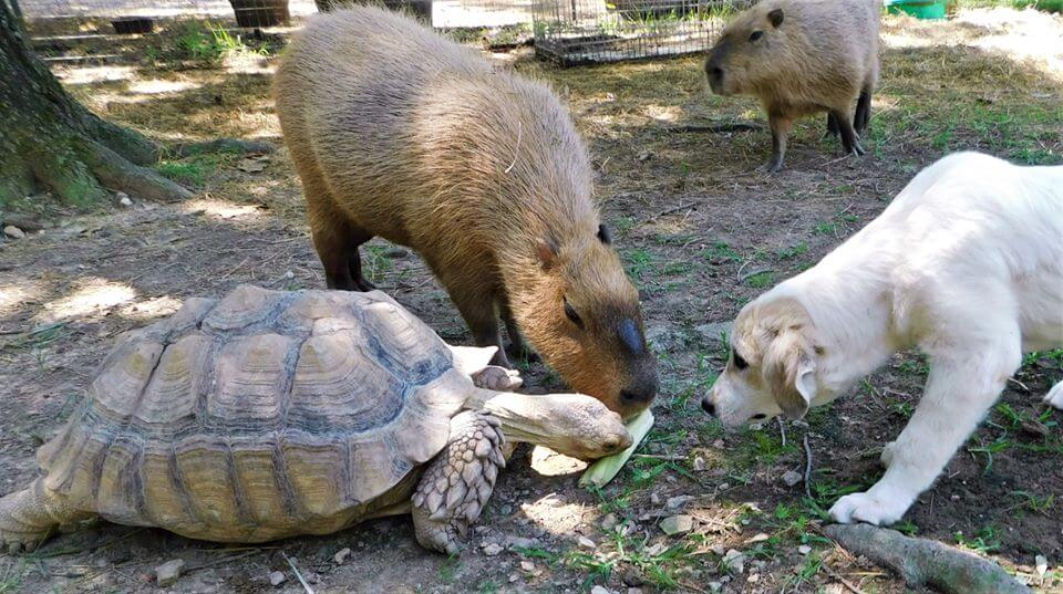 Snack time