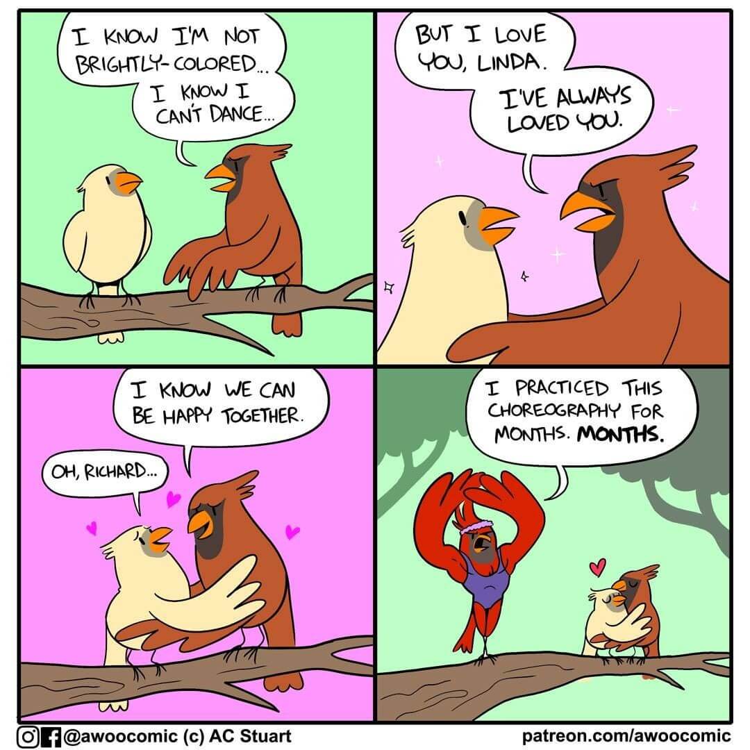 Lovely Comics About Animals