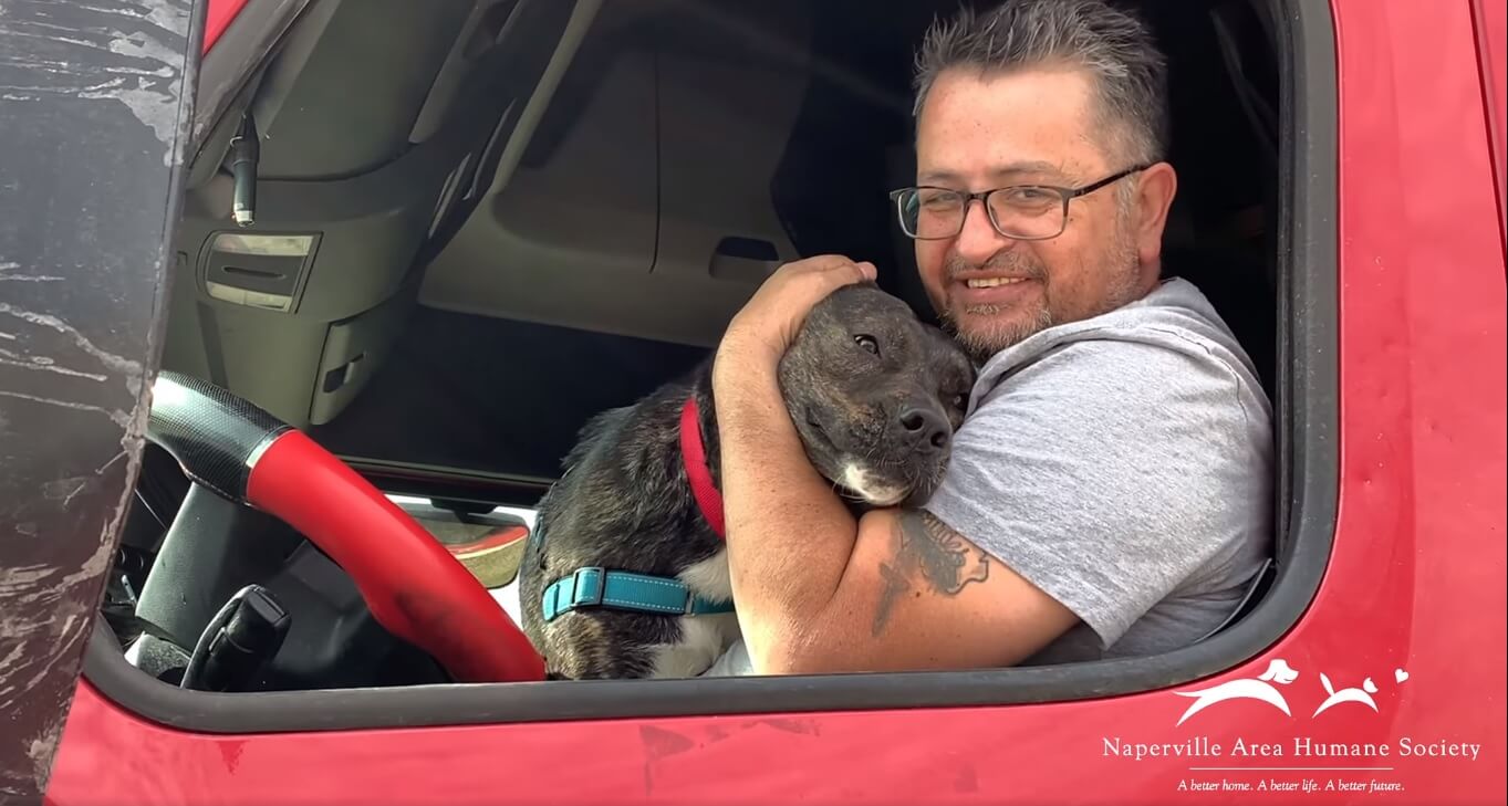 Dog contain his excitement with new dad