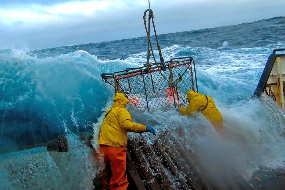 Who Died From Deadliest Catch 2023? Reveal Number Of Deaths Among The