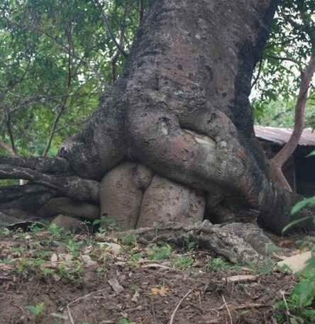 Cheeky Mother Nature