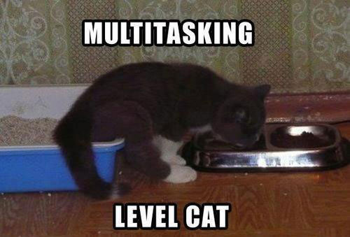 Pro At Multitasking 