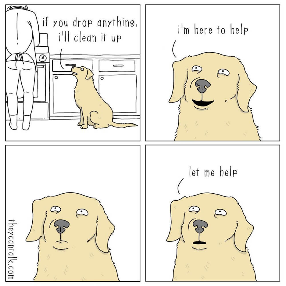 What If Animals Could Talk