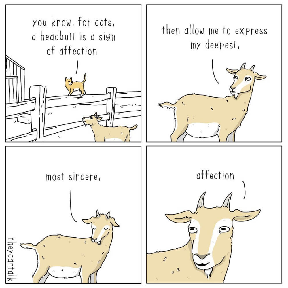 What If Animals Could Talk
