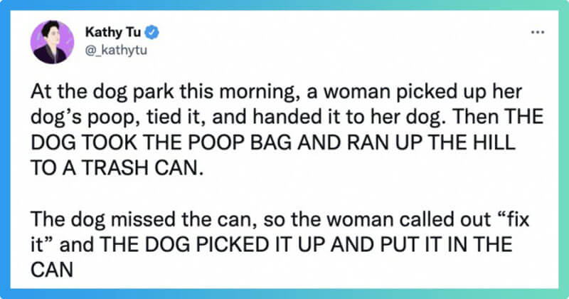 Woman Proudly Shares Her Smart Doggo Who Trashes Her Own Poop Bag, And Here