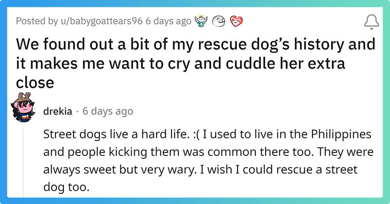 Reddit User Cries Out To Know Her Street Dog