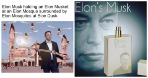 20 Elon Musk Memes That Will Laugh Us Into Mars