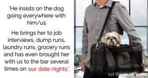 Fed-Up Pregnant Wife Turns To Reddit For Advice About Husband Who Takes His Dog Everywhere
