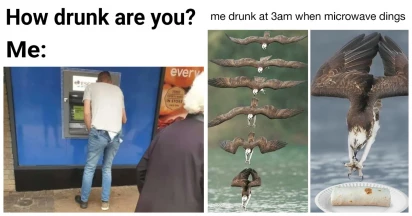 Check Out These 30 Being Drunk Related Memes While You