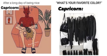 Zodiac Memes: Capricorn Life Scaling Heights And Hilarity
