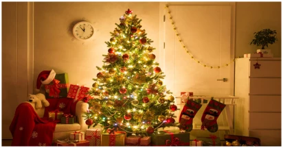 The Ultimate Guide To The Best Time To Buy A Christmas Tree!