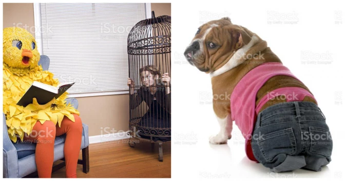 These Weird Animal Stock Photos Have Me Questioning Reality (3/11/2023)