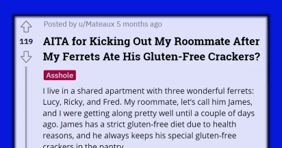 Redditor Kicks Their Roommate Out After He Threatens To Get Rid Of Their Ferrets As They Ate His Crackers