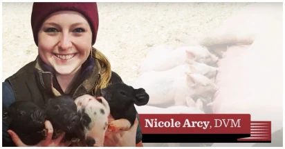 Is Dr. Nicole Arcy on Dr. Pol Pregnant Now? Is She Secretly Married?