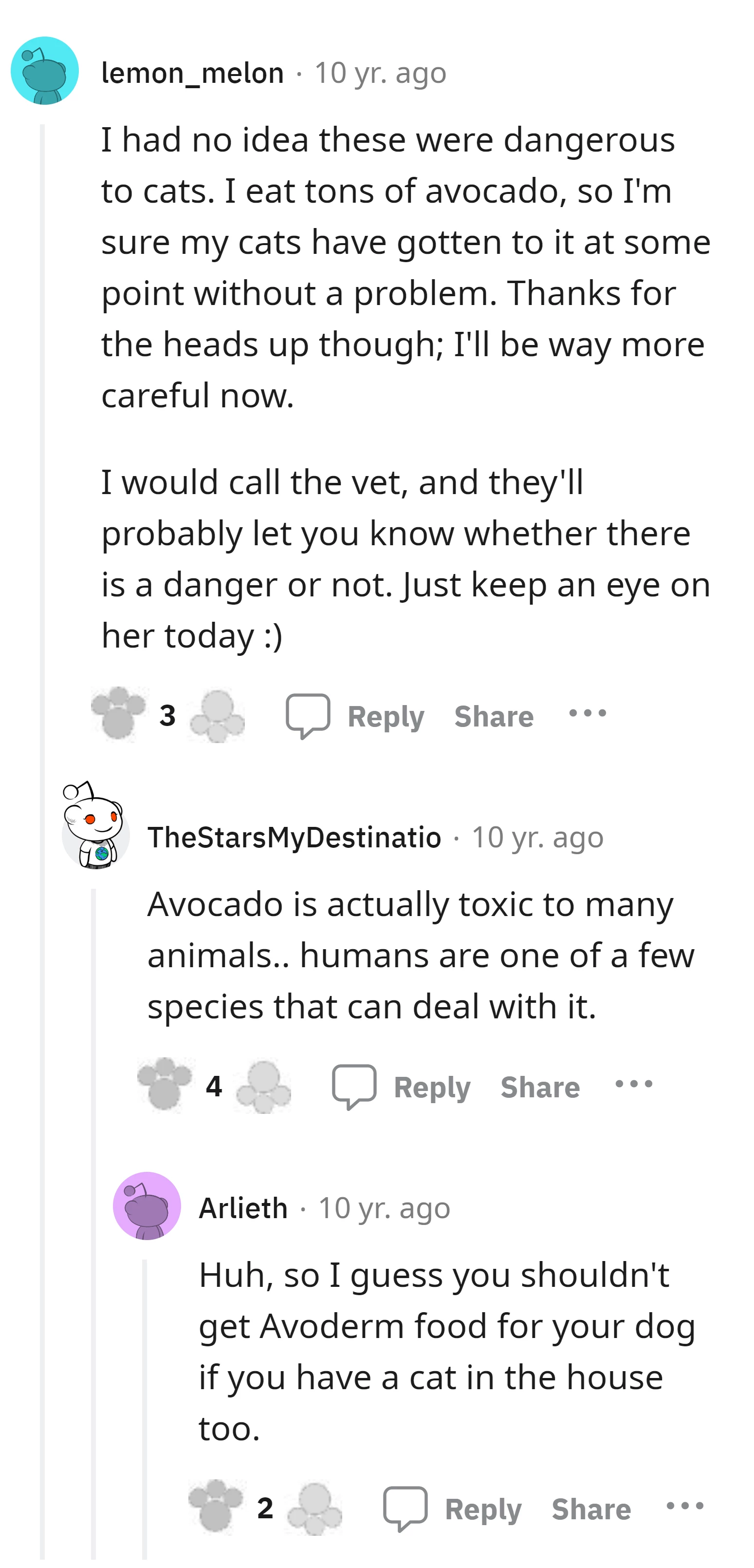 are avocados safe for cats - avocado safe for cats