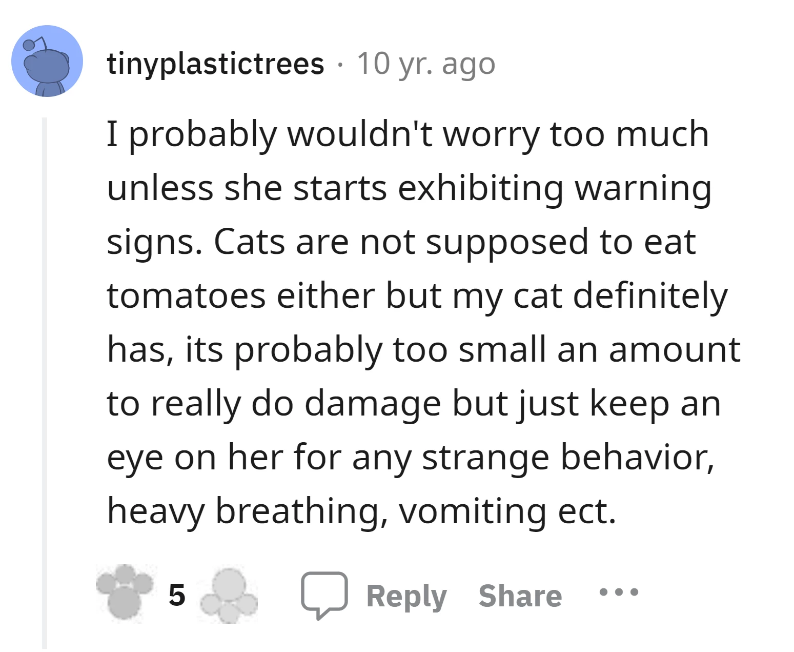 can cats have avocado - is avocado bad for cats