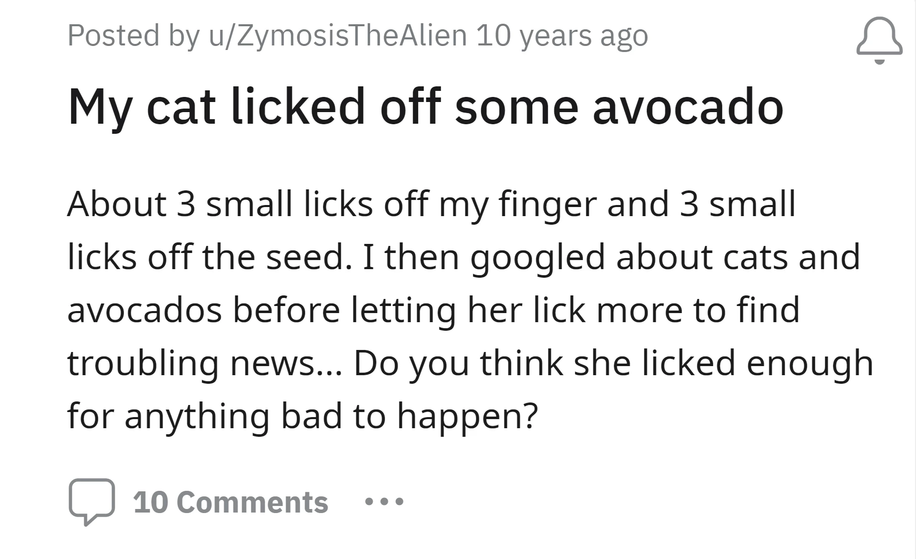 can cats eat avocado - avocado for cats