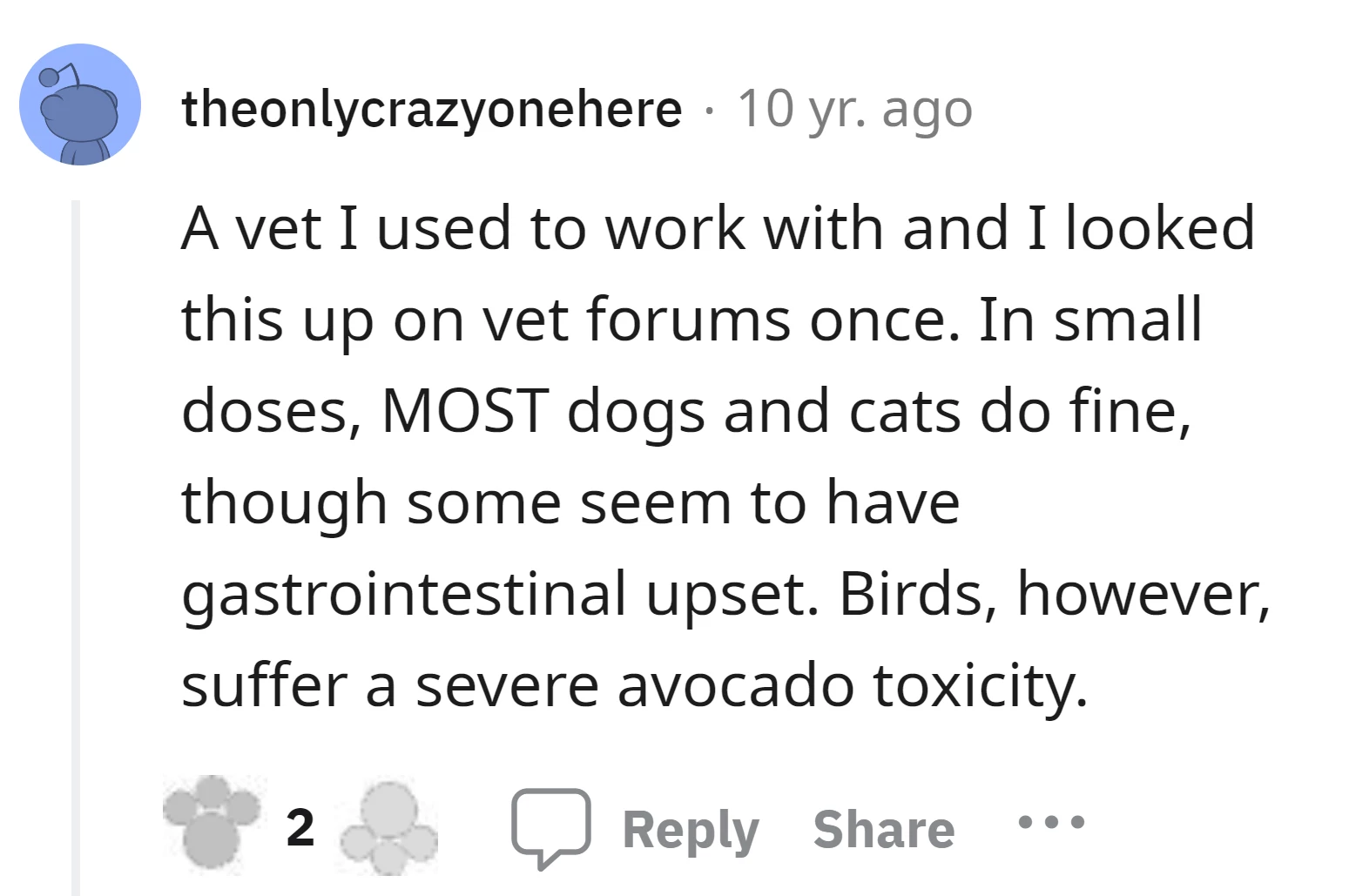 can cats have avocados - is avocado ok for cats