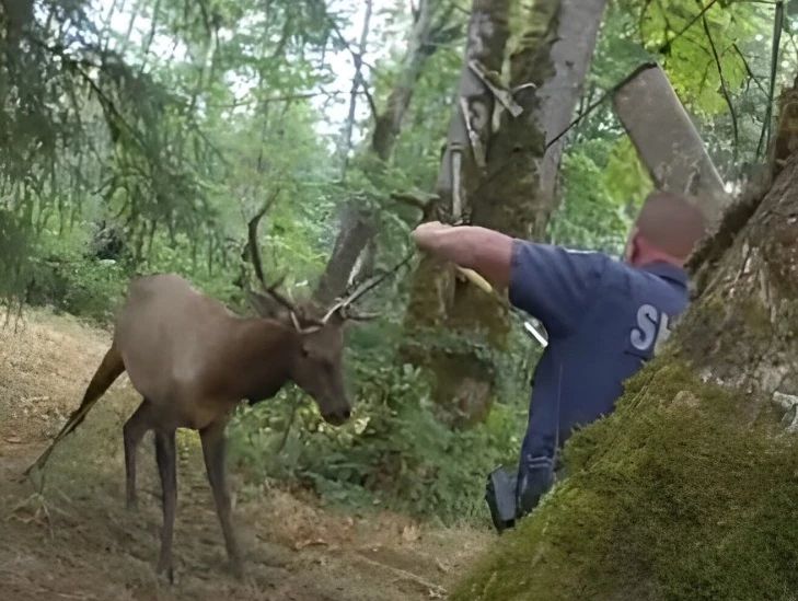 The officers, who had risked their lives for this rescue