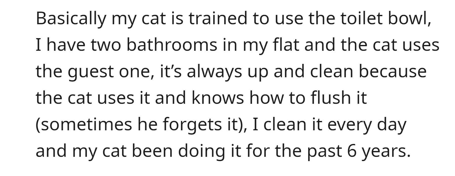 OP's cat, trained over the past 6 years, consistently uses the guest bathroom toilet