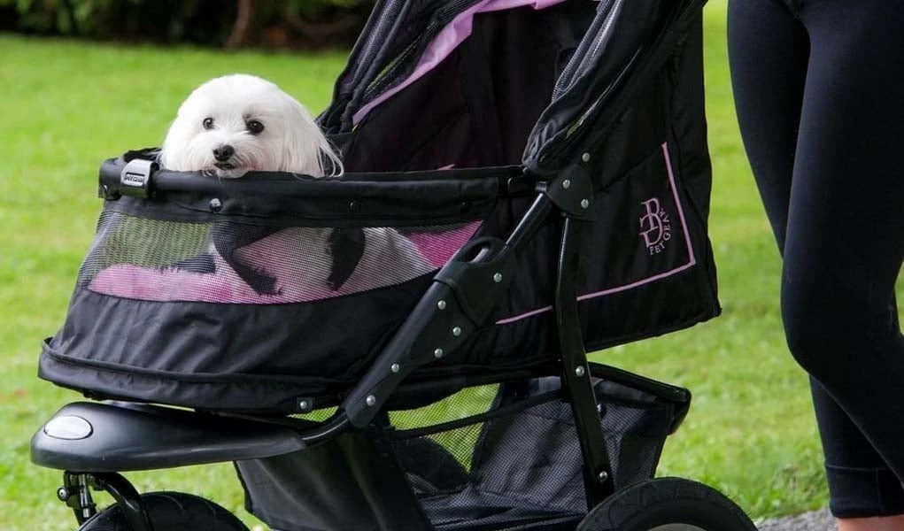 Woman asks sister to donate her dog's jogging stroller to her kids