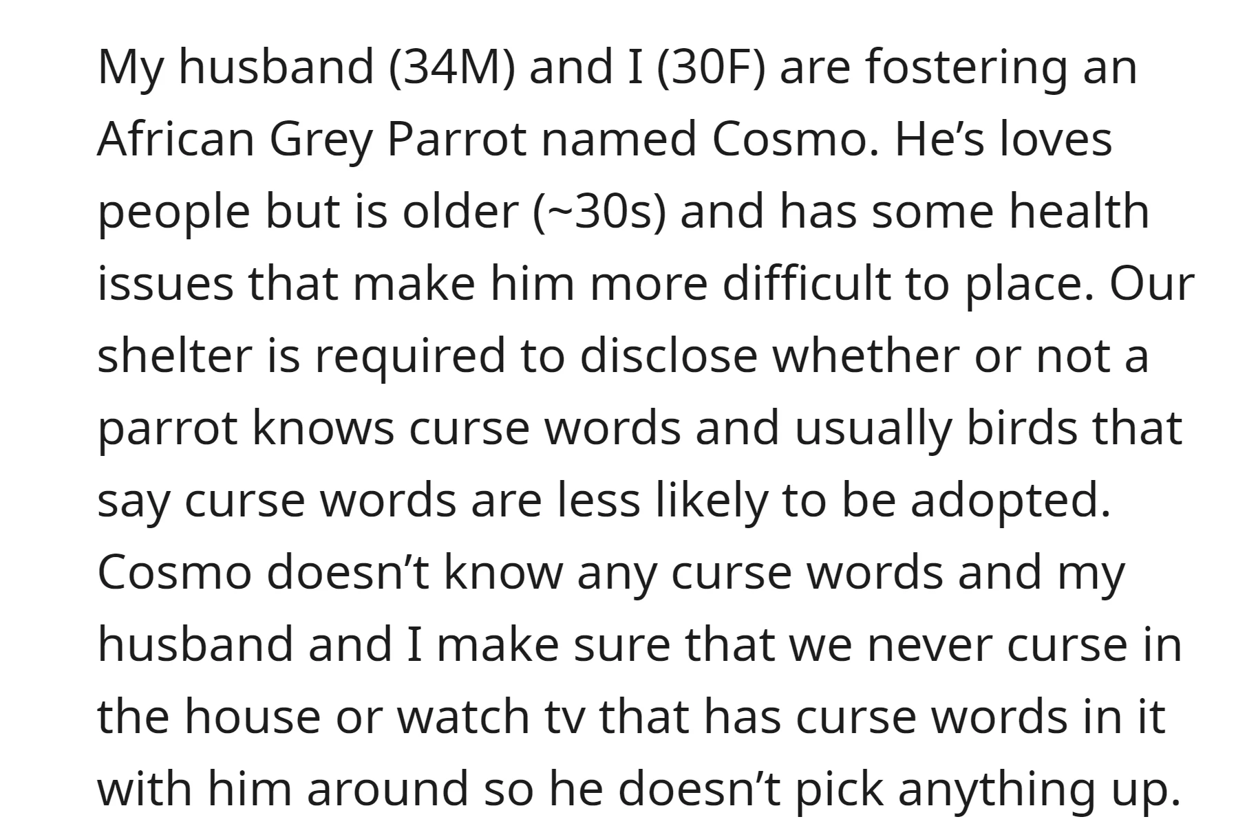 OP and her husband have a parrot named Cosmo and it doesn’t know any curse words