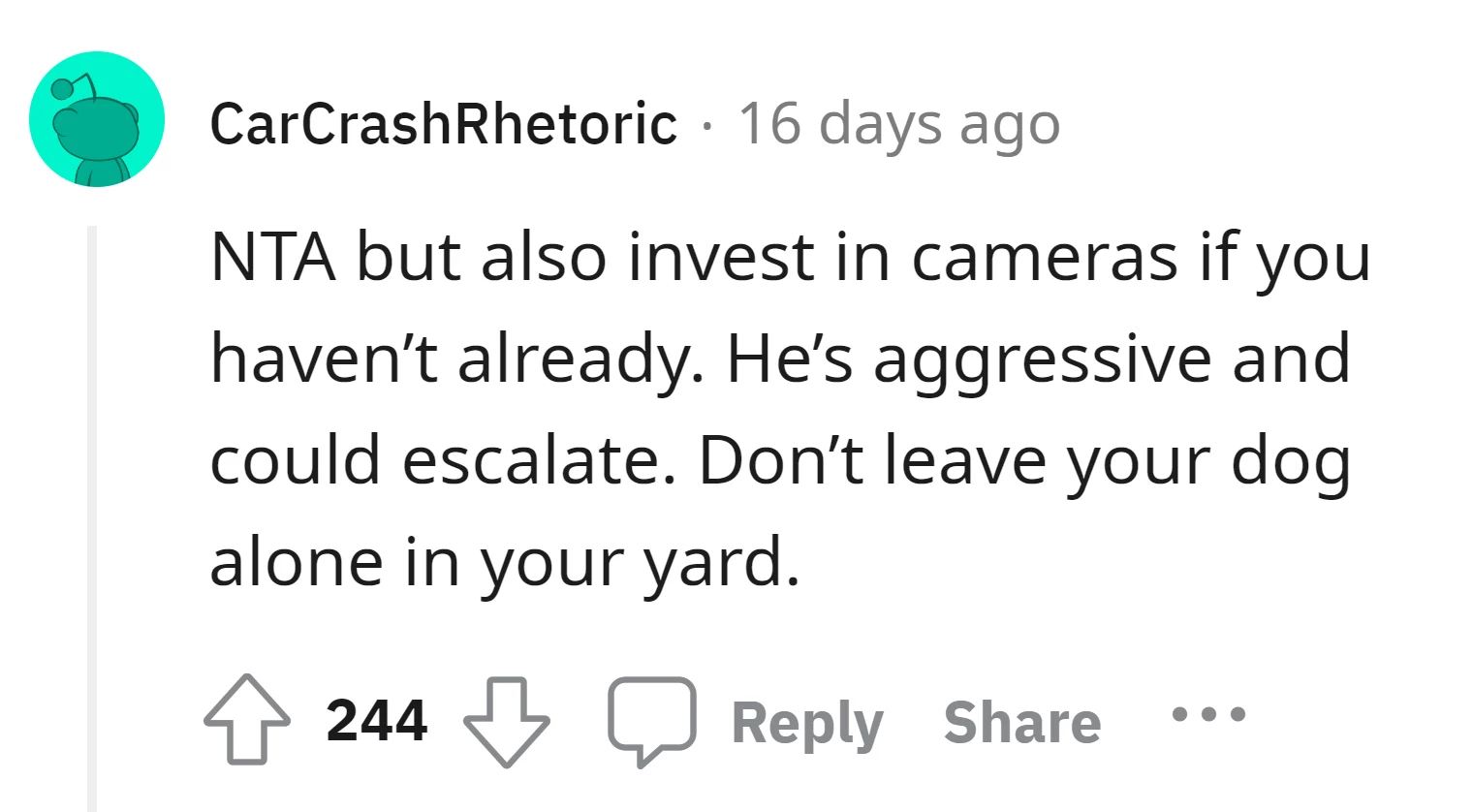 There's a suggestion to invest in cameras due to the neighbor's aggressiveness