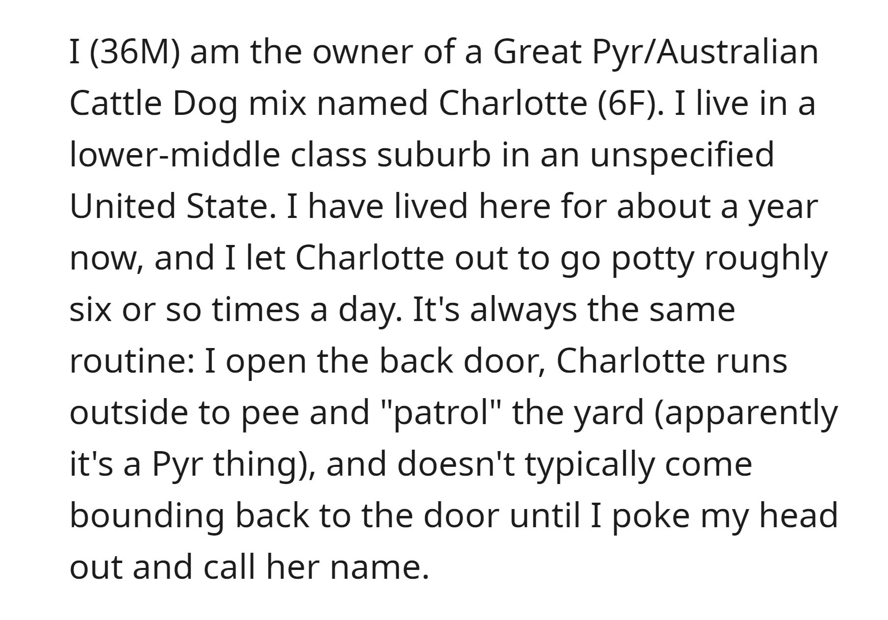 OP has a dog named Charlotte