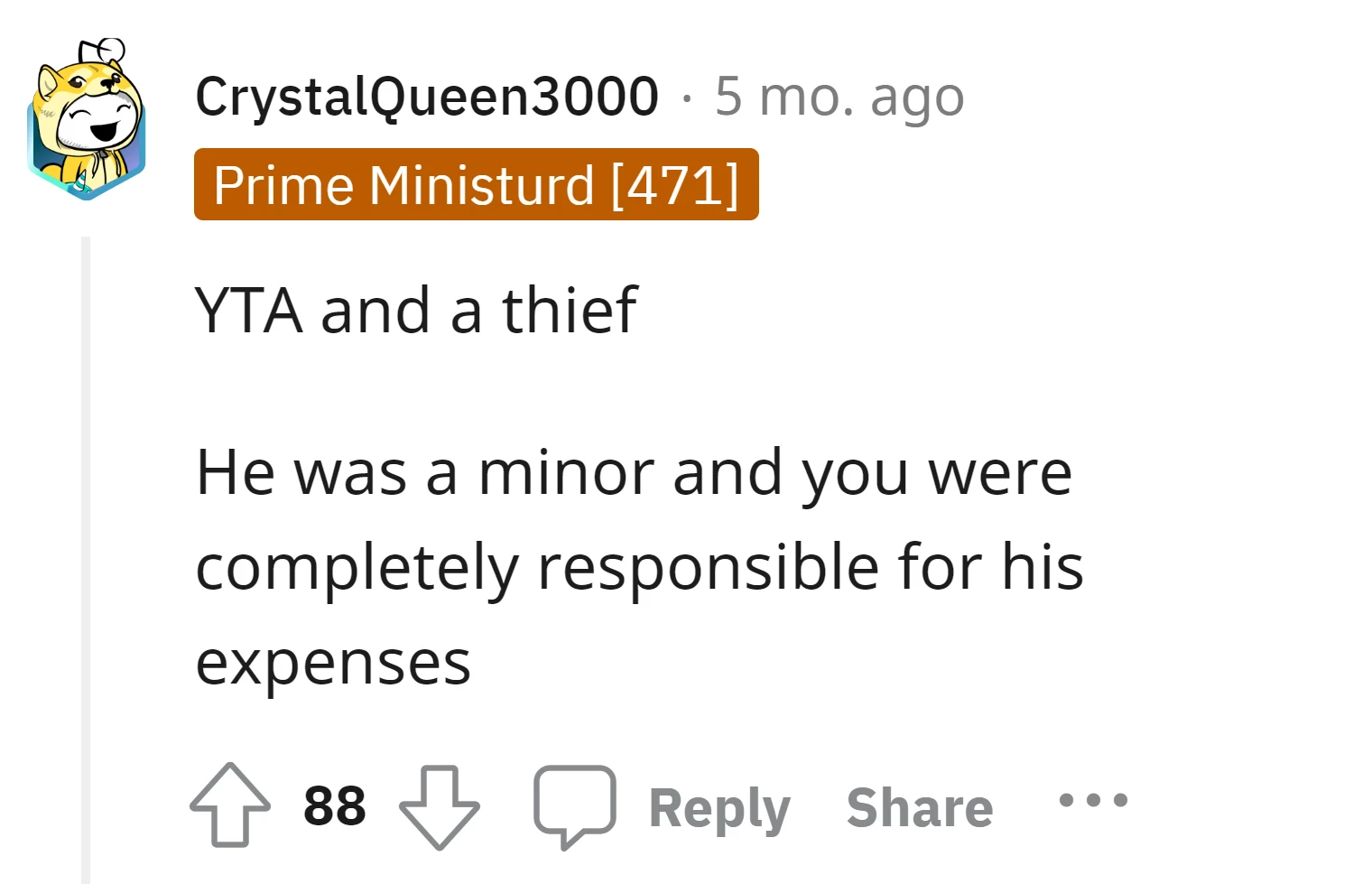 The son's expenses were the OP's responsibility