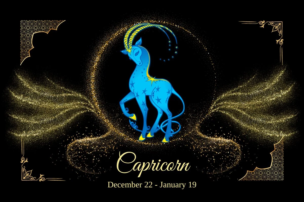 Daily Horoscope For November 9, 2023 Capricorn