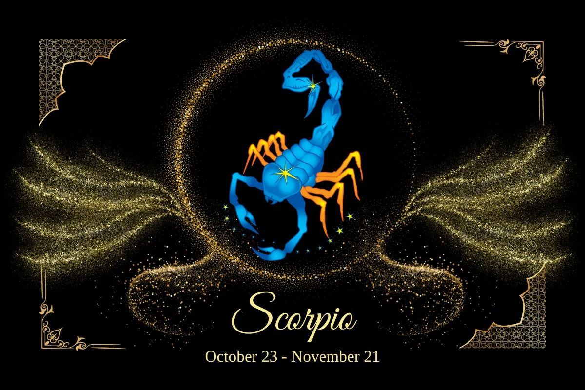 Daily Horoscope For November 9, 2023 Scorpio