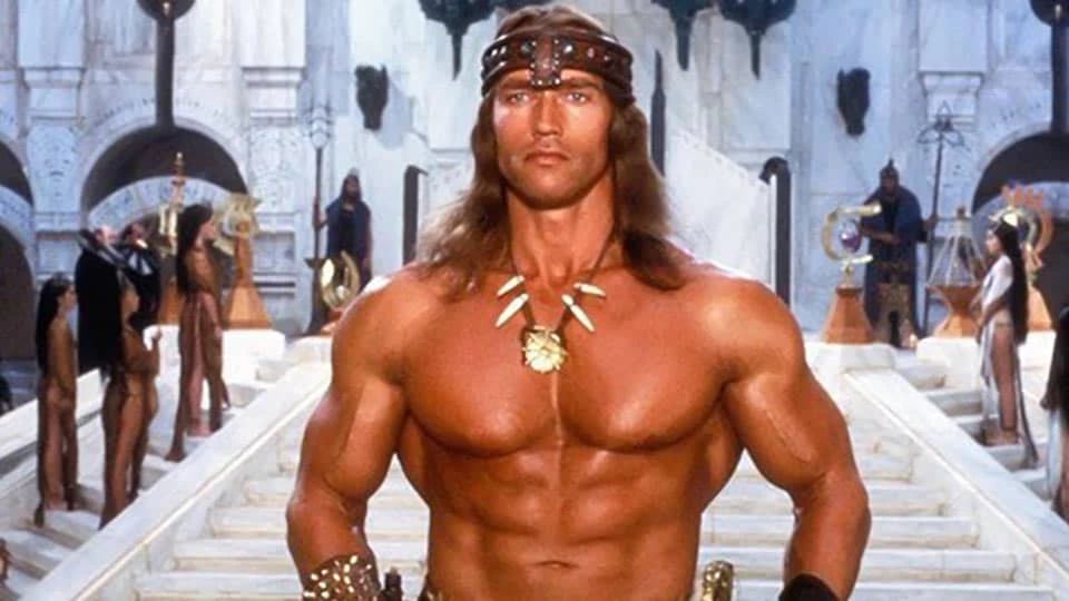 Conan The Barbarian (1982) - Fantasty Arnold Schwarzenegger 1980s Film