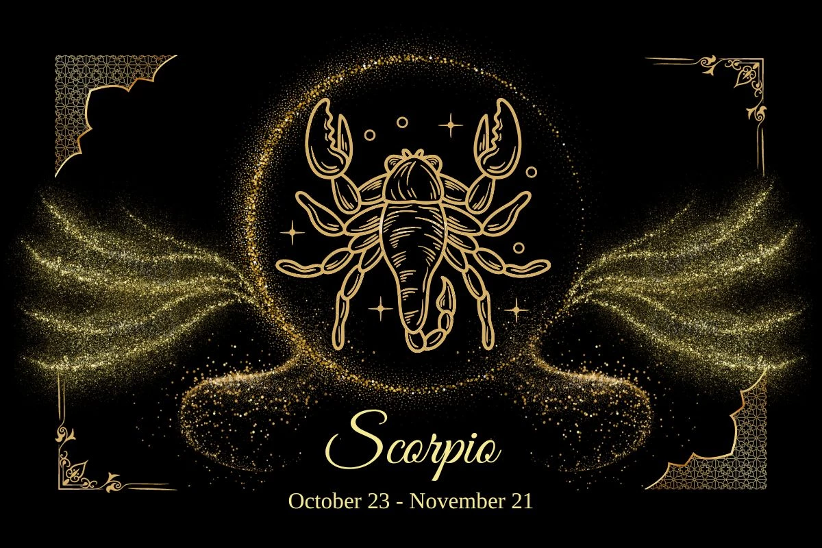 Daily Horoscope For December 6, 2023 Scorpio