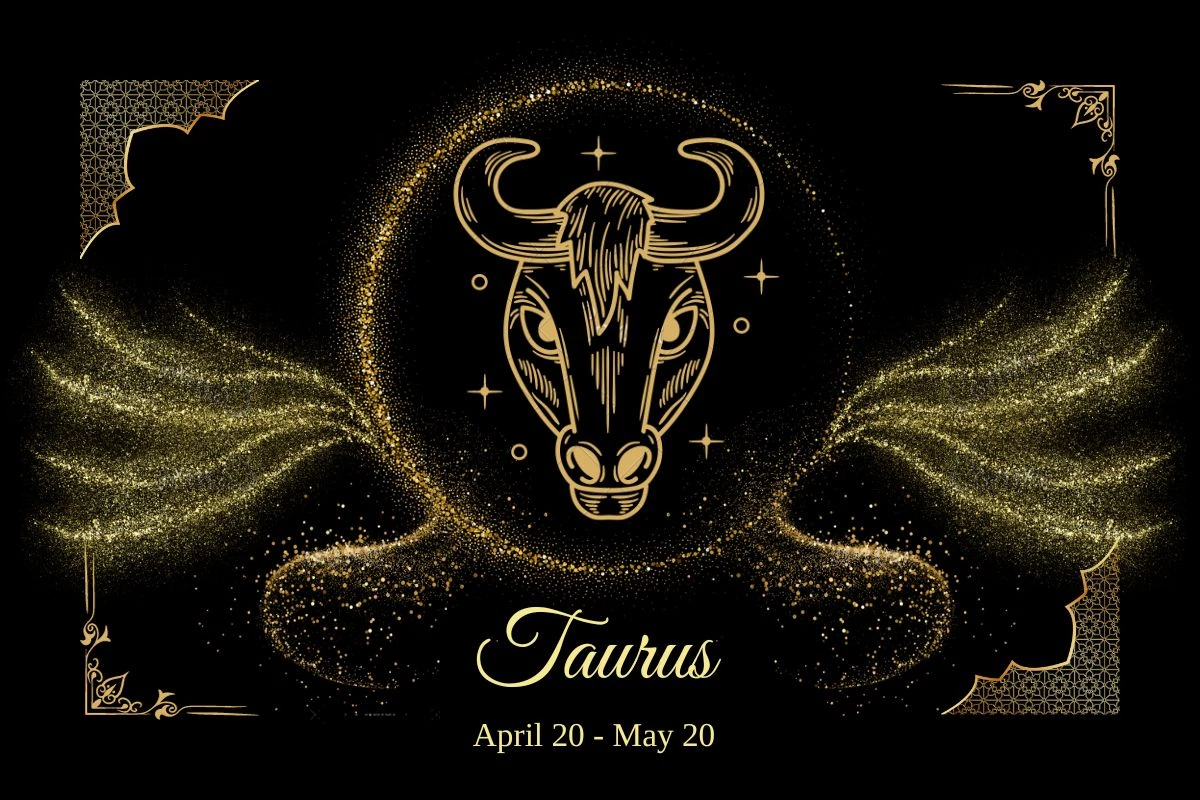 Daily Horoscope For December 6, 2023 Taurus