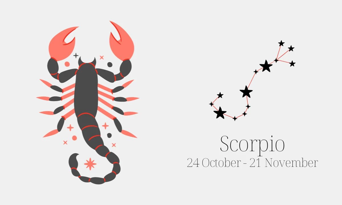 Daily Horoscope For December 7, 2023 Scorpio
