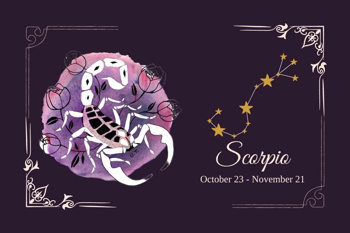 Your January 11, 2024 Daily Horoscope: Scorpio (October 23 - November 21)