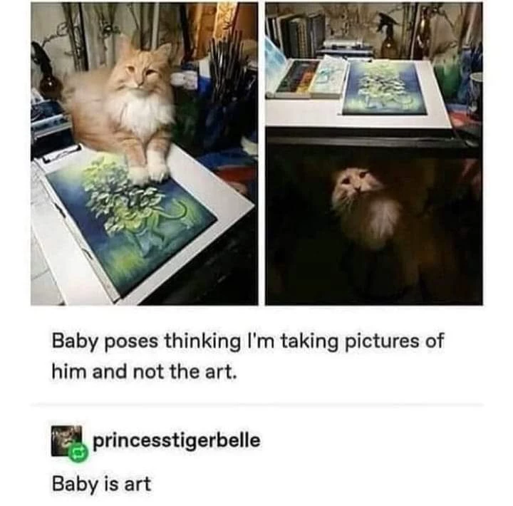 Baby is indeed the art