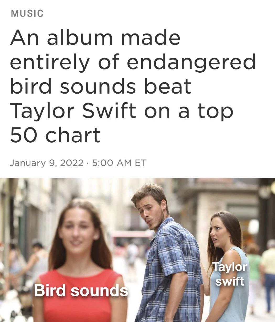 bird-sounds-beat-taylor-music-taylor-swift
