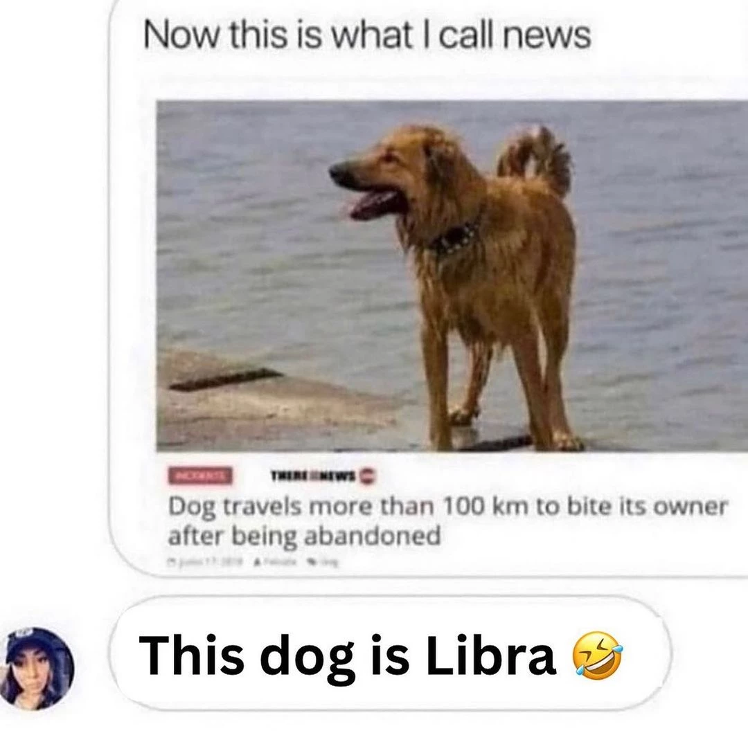 Libra Dog
