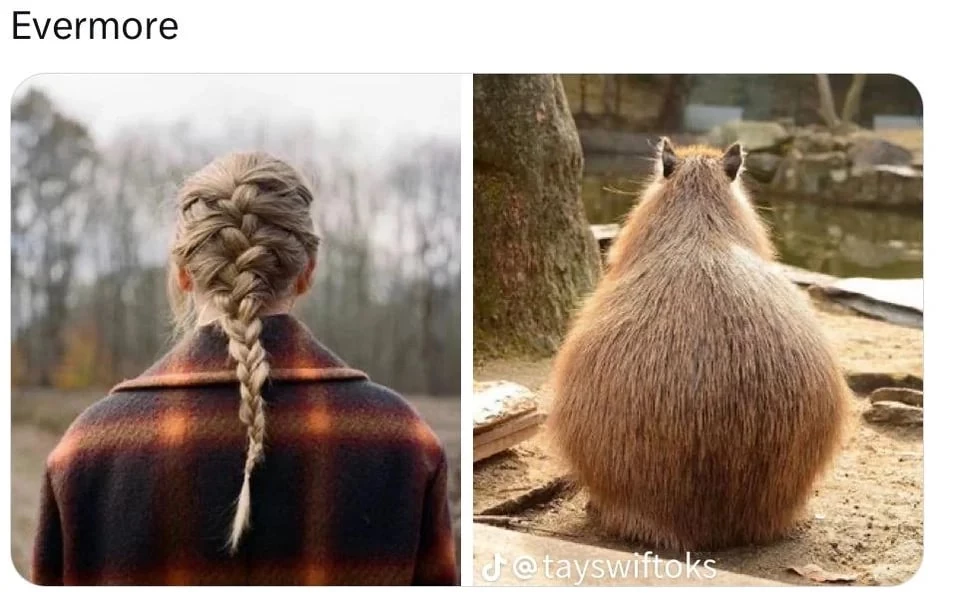 evermore-capybara-as-taylor-swift-eras