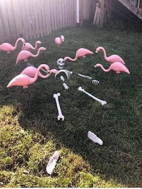 Flamingos For Halloween