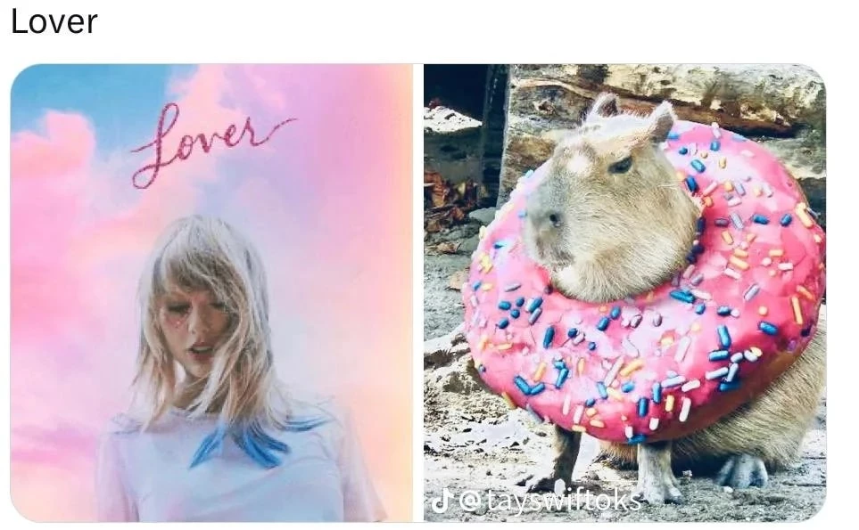 lover-capybara-as-taylor-swift-eras