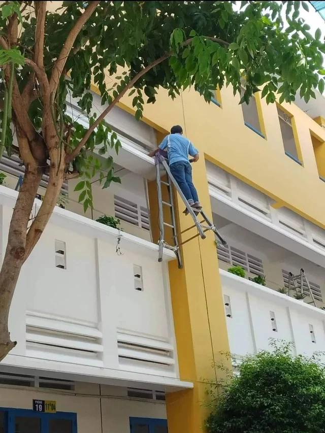 Cursed Ladder in Vietnam