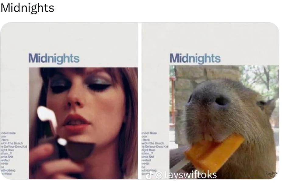 midnights-capybara-as-taylor-swift-eras