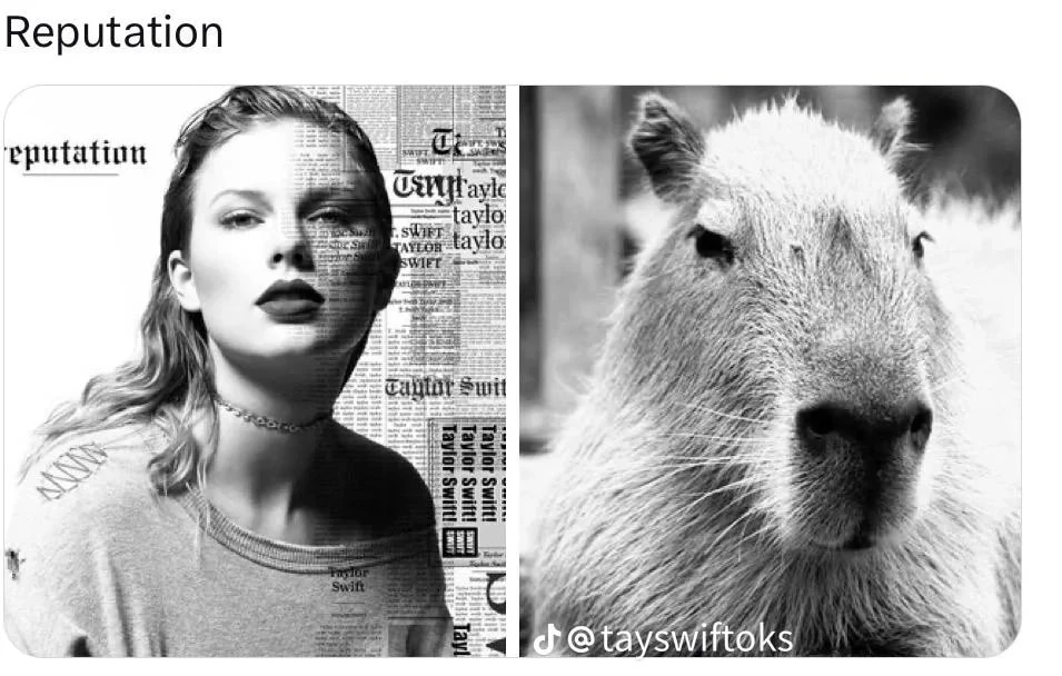 reputation-capybara-as-taylor-swift-eras