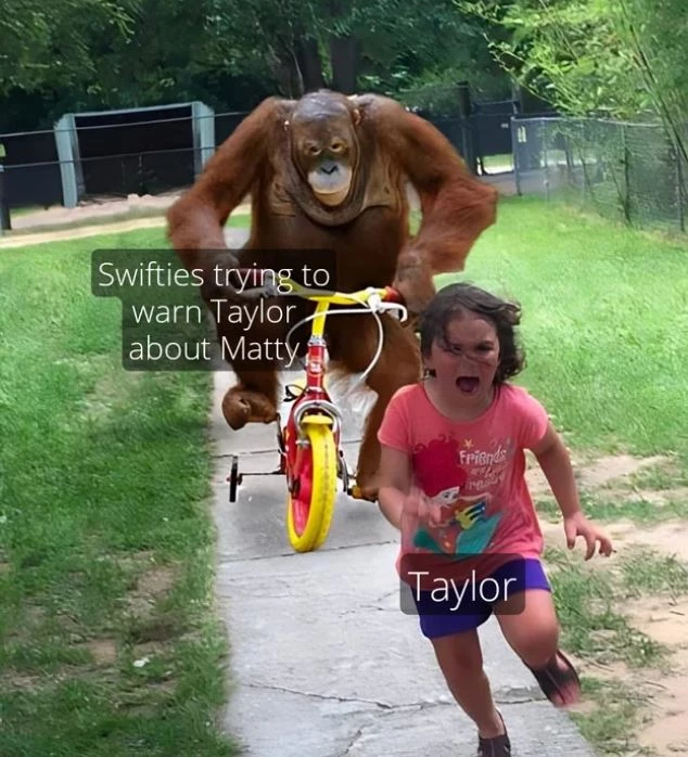 we-warned-you-taylor-swift-meme