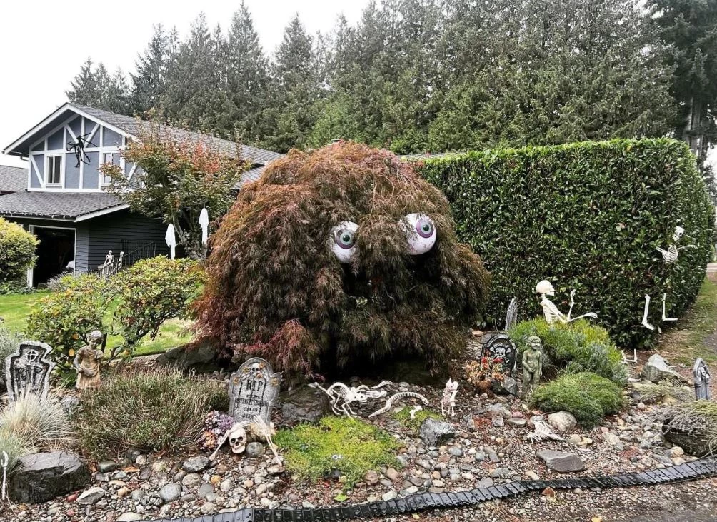 When You Have A Weird Bush In Your Front Yard