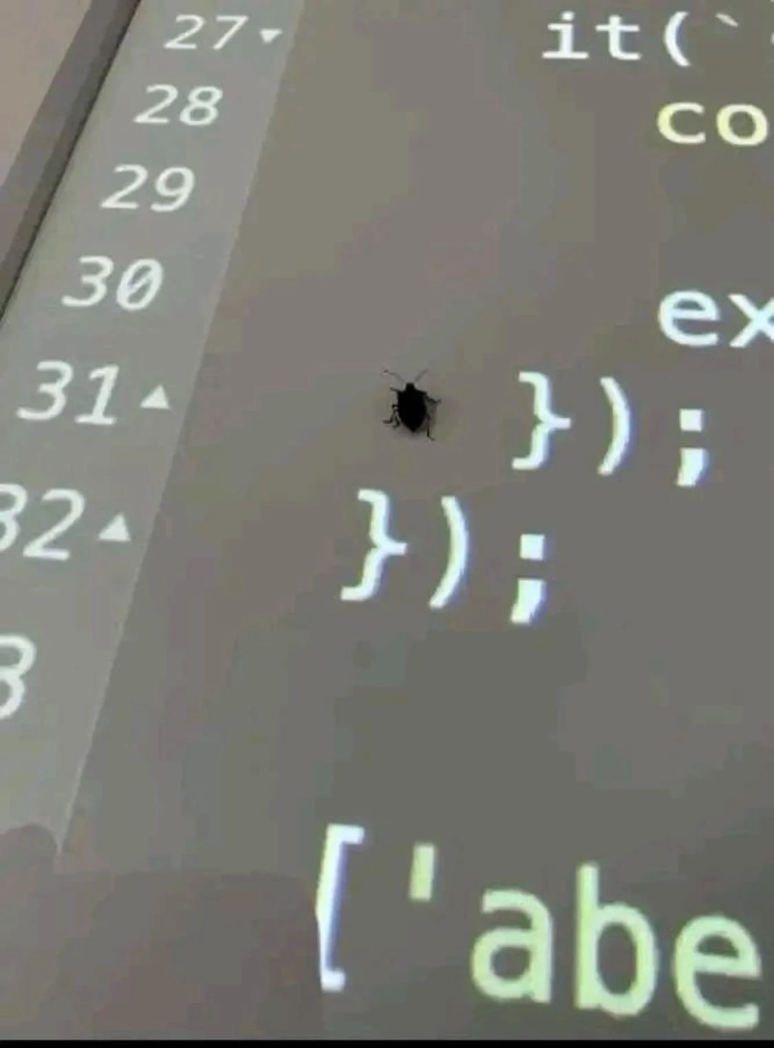 A Real Bug
