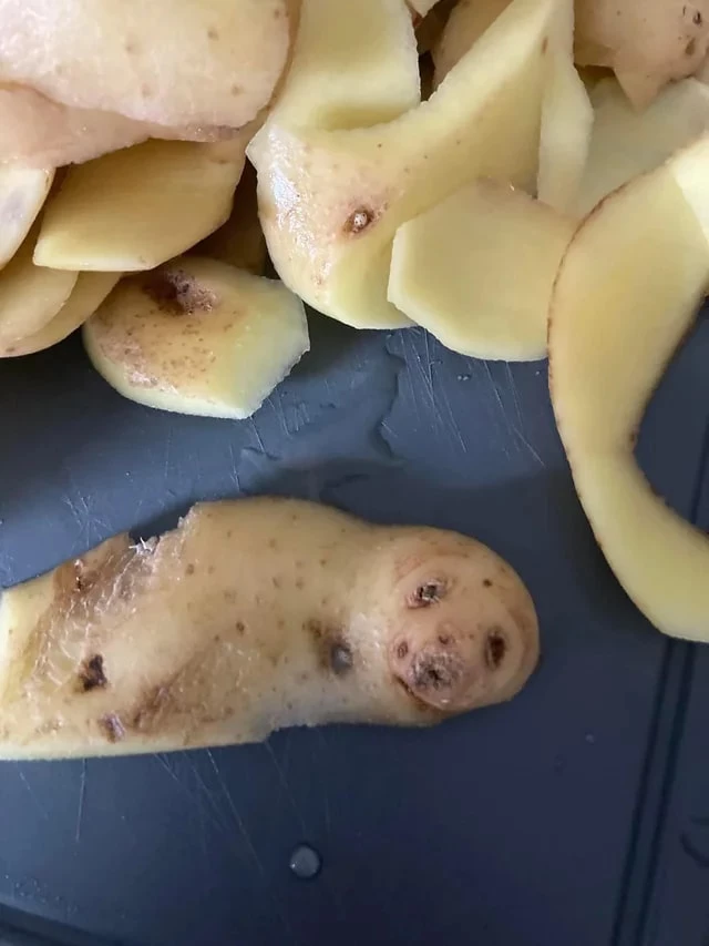 A Seal In Potatoes